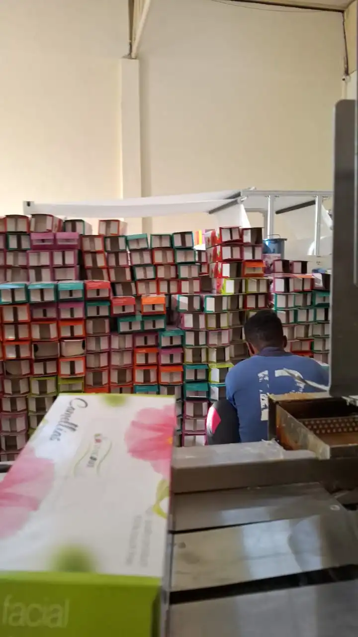 ​    ​Hot Melt Glue Carton Sealing Machine